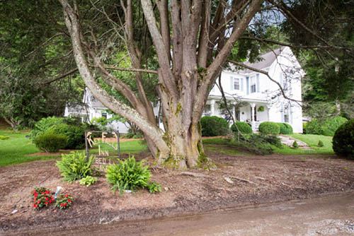 The inn behind the big tree and gardens