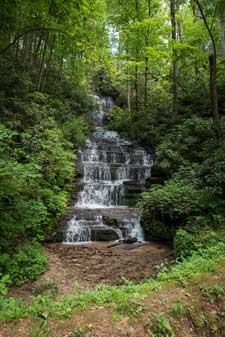 A waterfall in the green forest at Key Falls